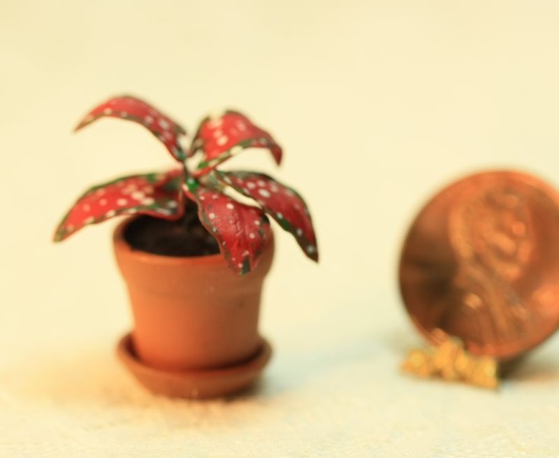 Red Caladium Plant by Falcon Miniatures