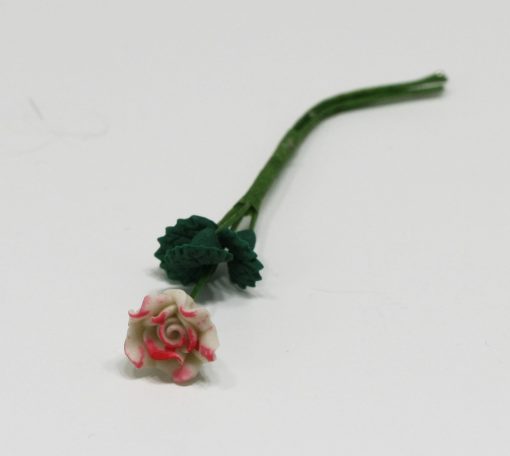 Single Pink and White Rose Stem