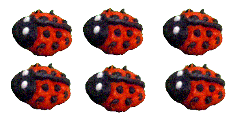 Set of 6 Tiny Ladybugs by Bright deLights