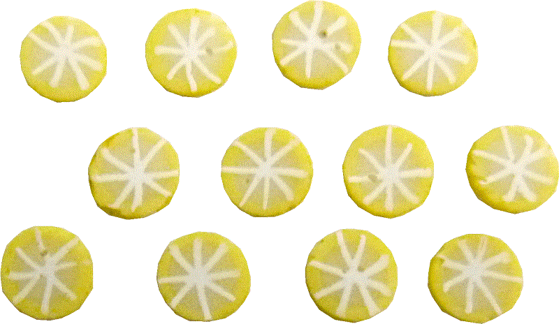 Set of 10 Lemon Slices by Bright deLights