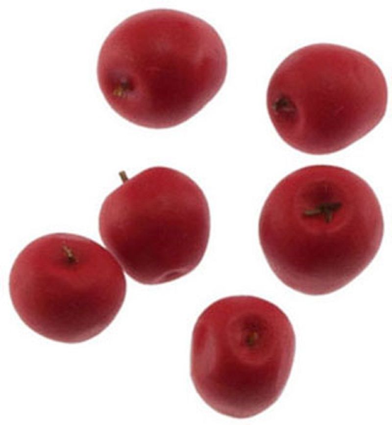 Set of 6 Red Delicious Apples