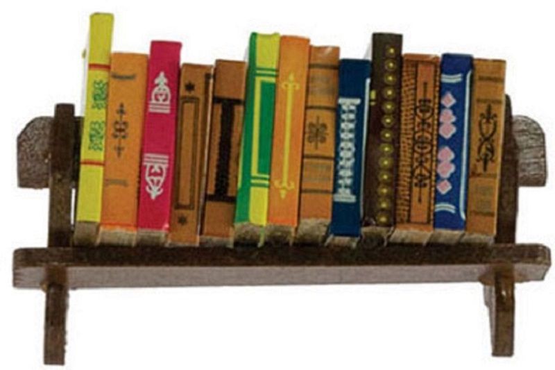 Set of 12 Large Books on a Wood Shelf