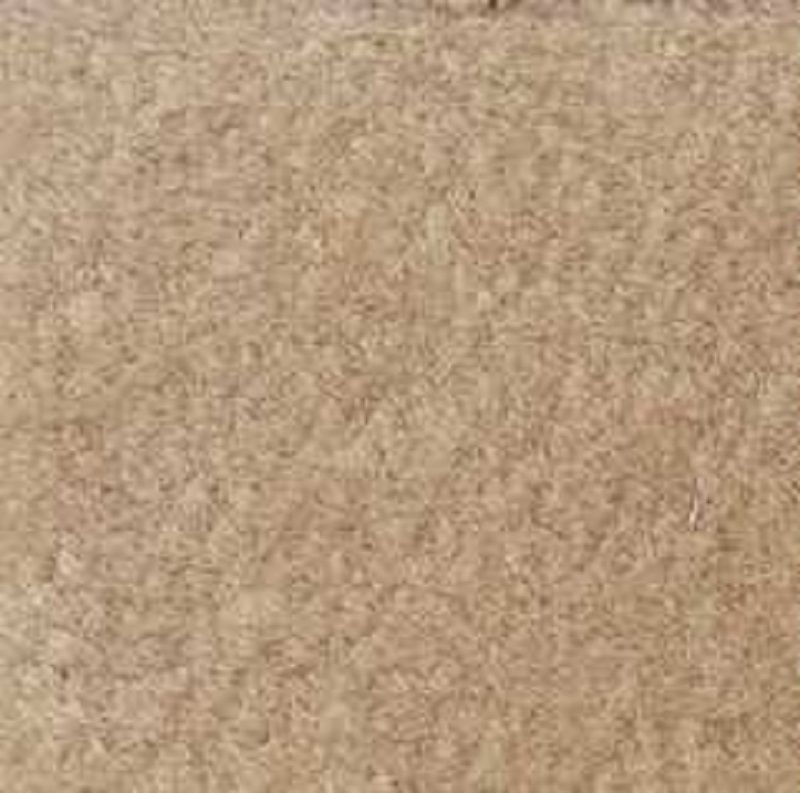 Wall to Wall 18 x 26 Carpeting in Beige
