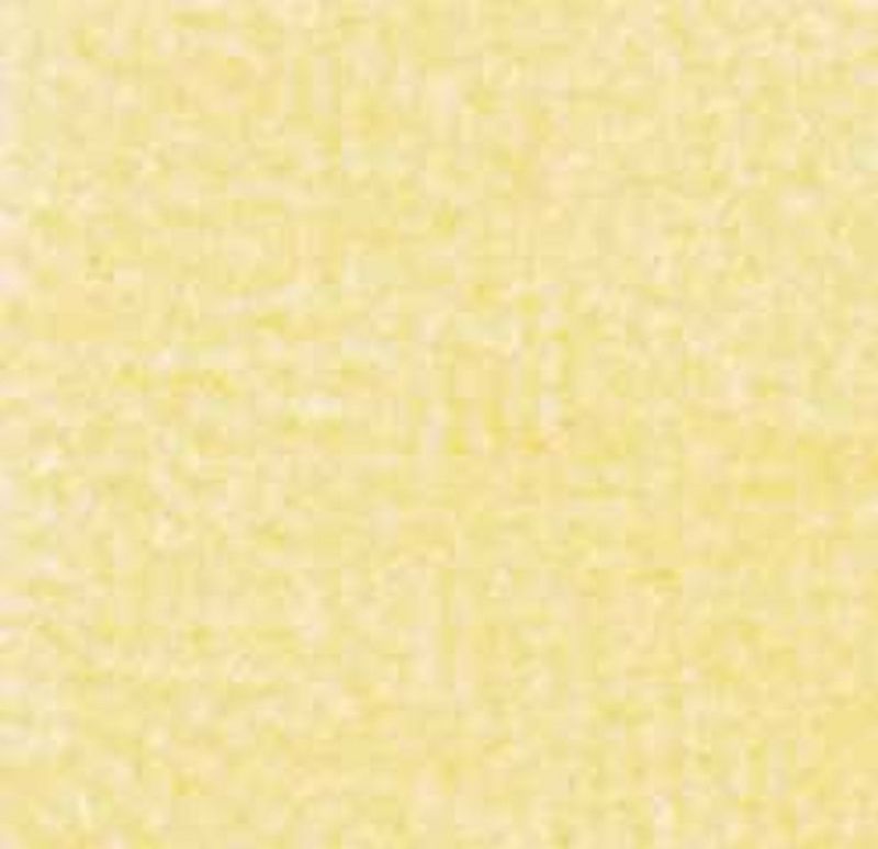 Wall to Wall 12 x 14 Carpeting in Butter Yellow