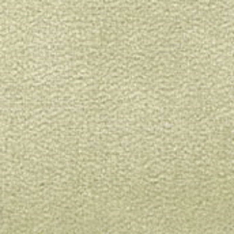 Wall to Wall 18 x 26 Carpeting in Celery
