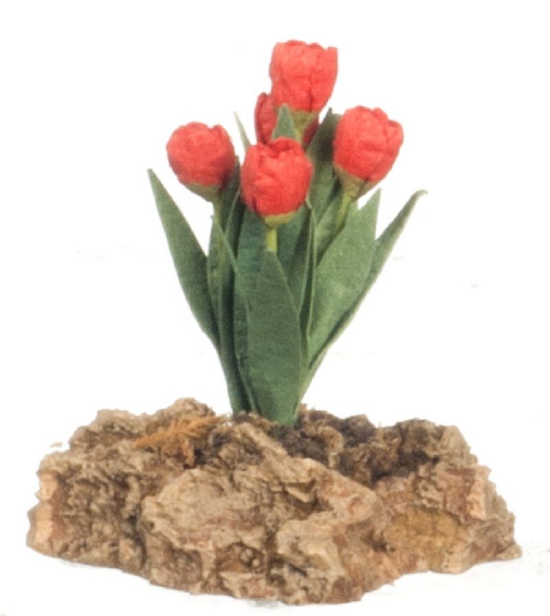 Orange Tulip Plant on a Rock