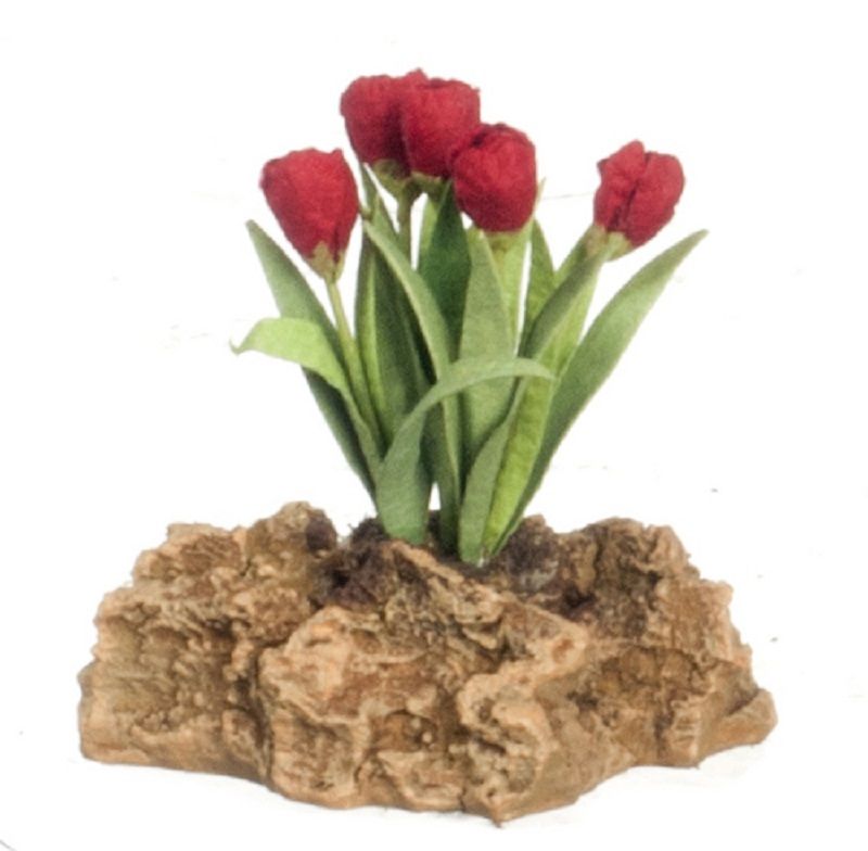 Red Tulip Plant on a Rock
