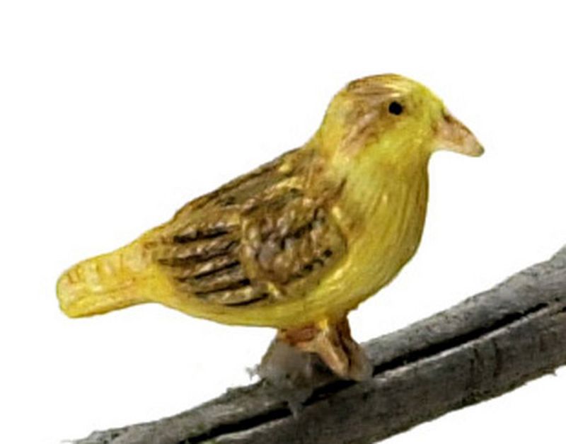 Norwich Fancy Canary by Falcon Miniatures