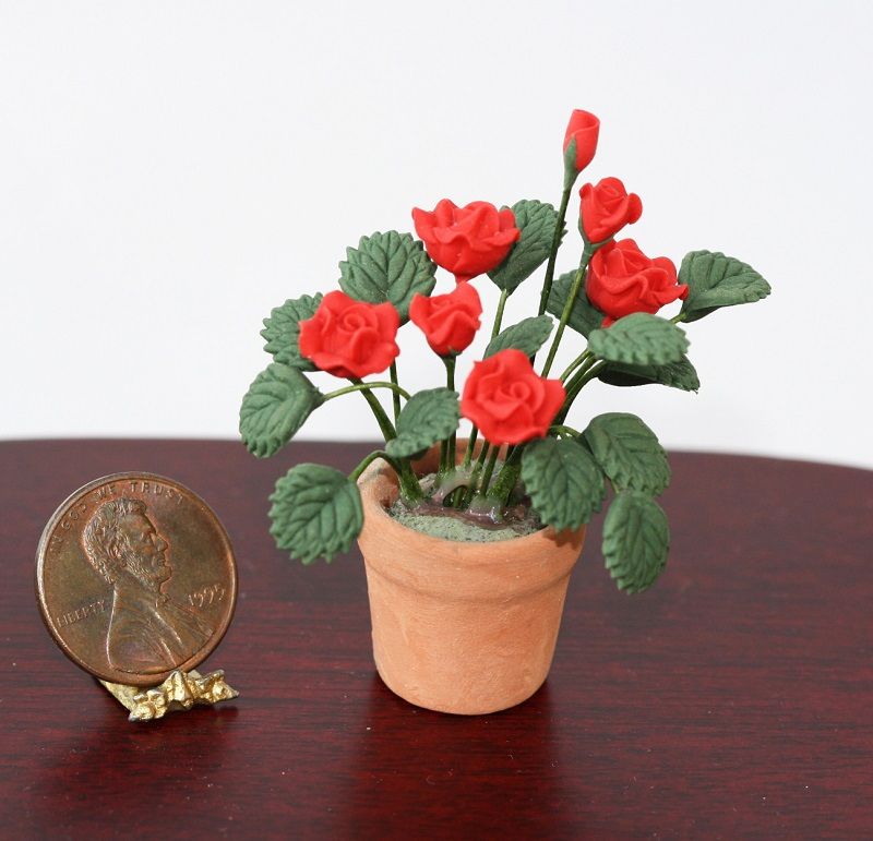 Blooming Red Rose Plant in a Clay Pot
