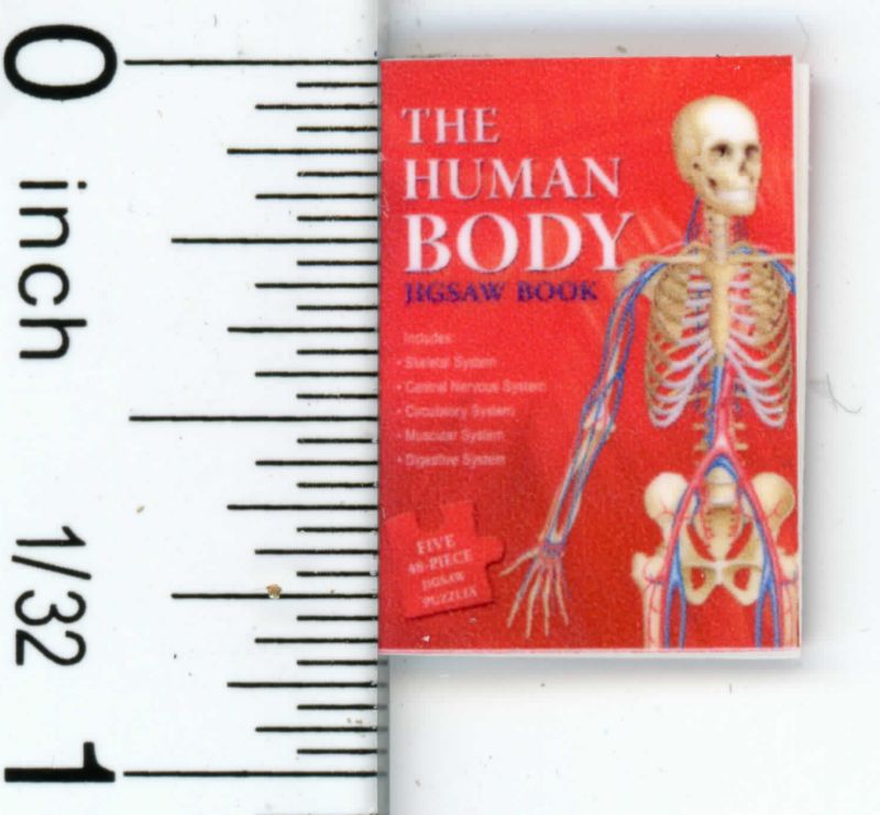 The Human Body Book by Cindi's Mini's