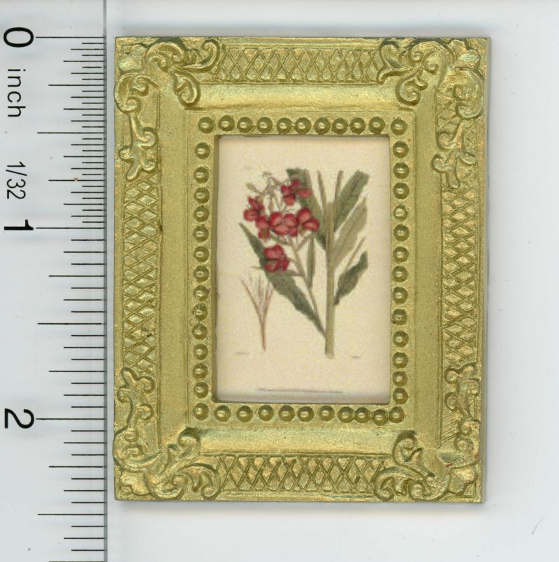 Gold Framed Picture of a Flowering Plant