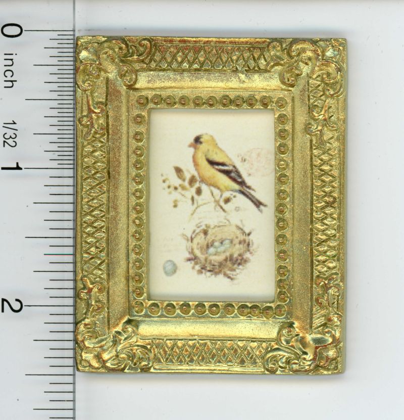 Gold Framed Picture of Colorful Bird w/Nest