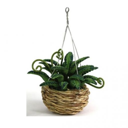 Fern in Hanging Basket Planter