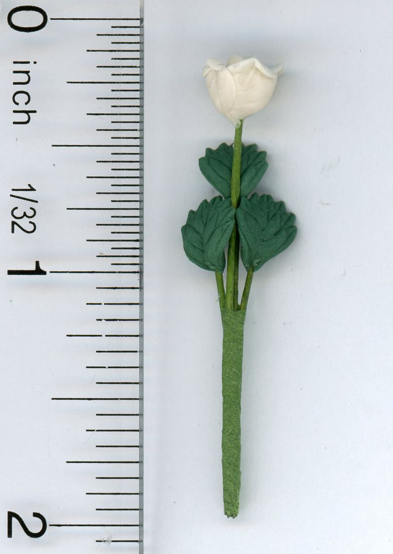 Single White Rose Stem w/Leaves by Bright deLights