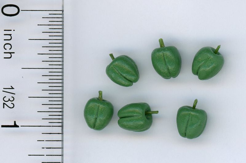 Set of Six Garden Fresh Green Peppers