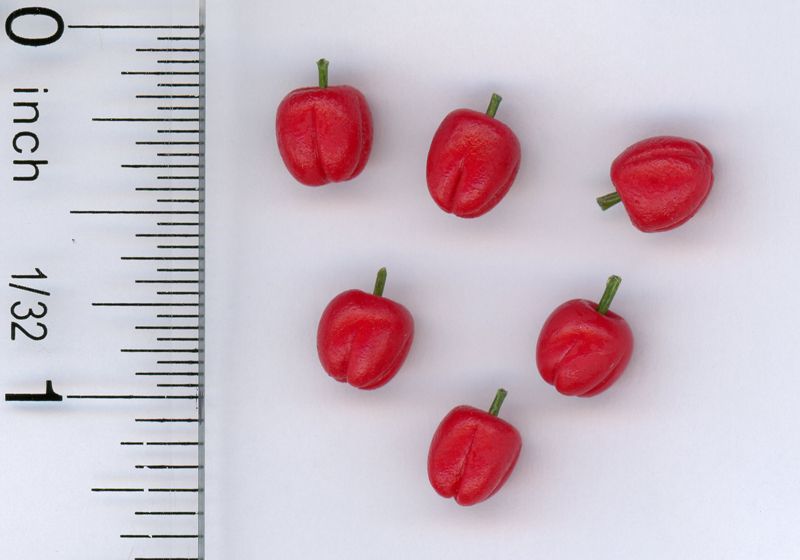 Set of Six Garden Fresh Red Peppers