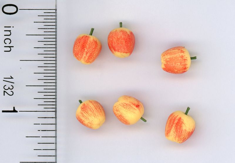 Set of Six Fresh Picked Fuji Apples