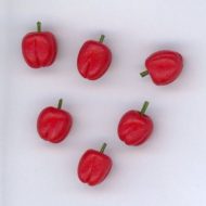 Set of Six Garden Fresh Red Peppers