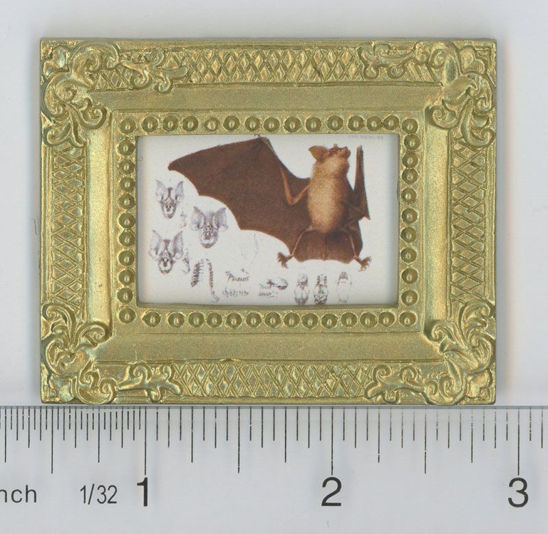 Gold Framed Bat Illustration Plate