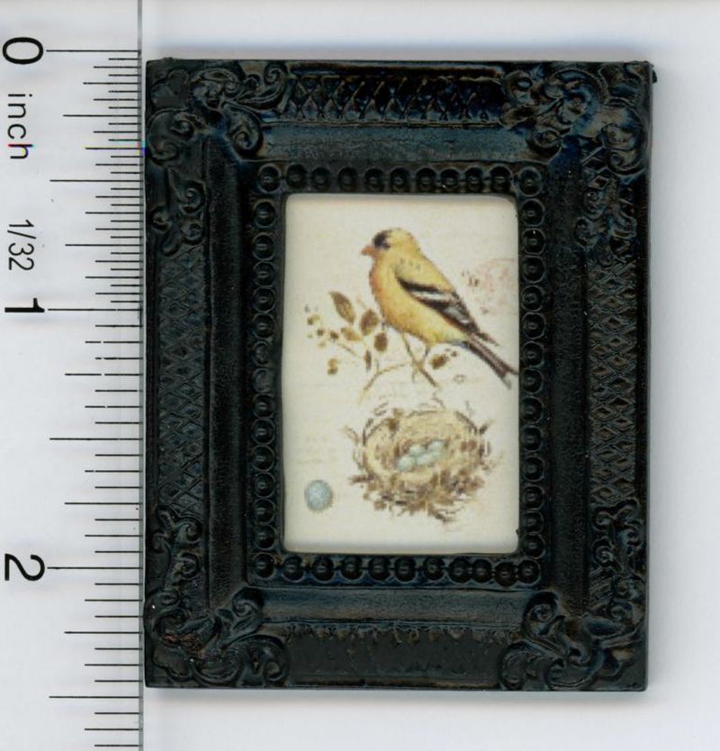 Print of a Vintage Yellow Bird Illustration Plate