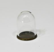 Small Glass Dome with Metal Base