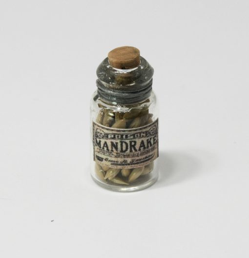 Halloween Bottle of Dried Faux Mandrake