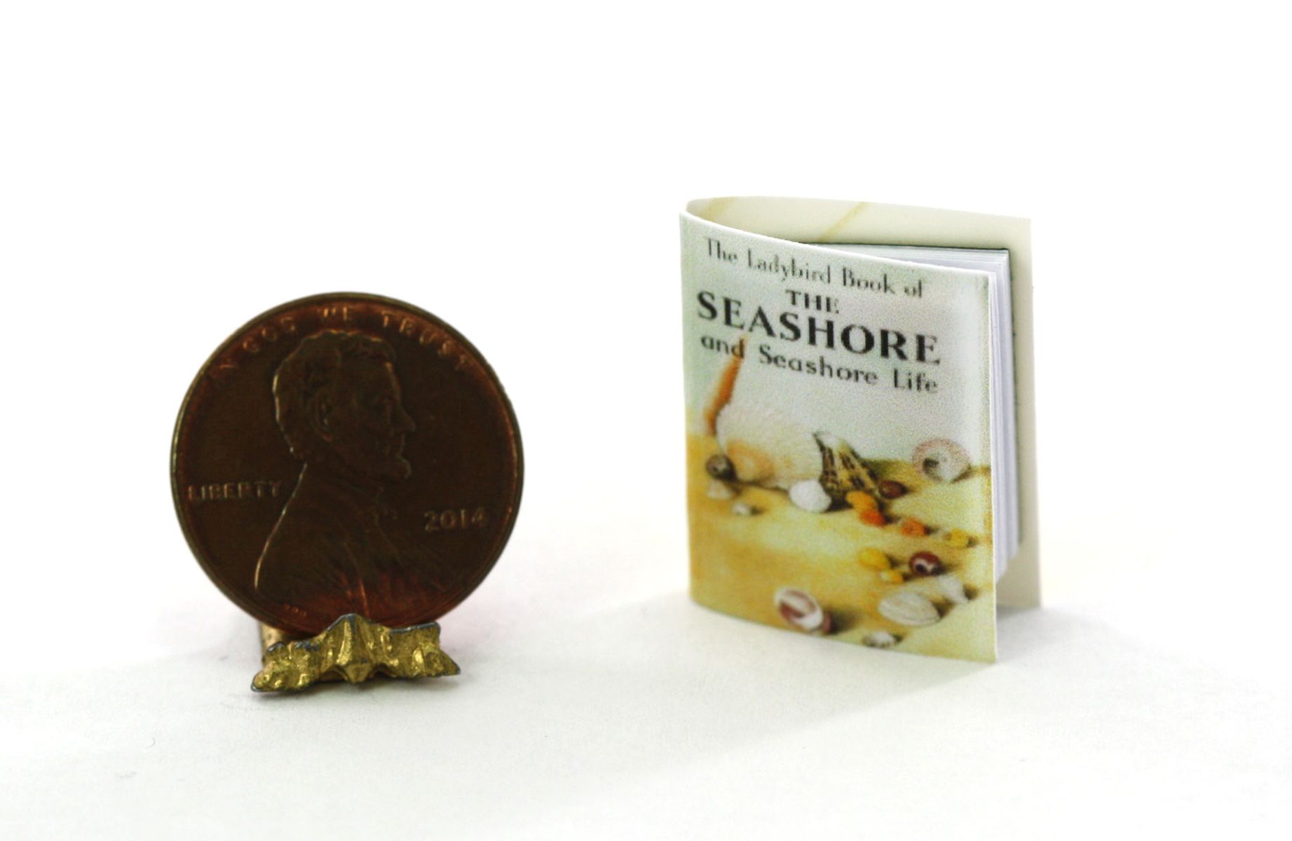 Seashore Book by Dollhouses and More