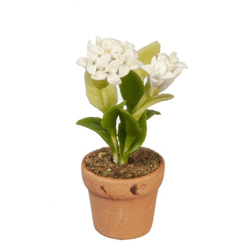 Dollhouse Miniature Artisan White Flowers in a Clay Pot by Town Square Miniature