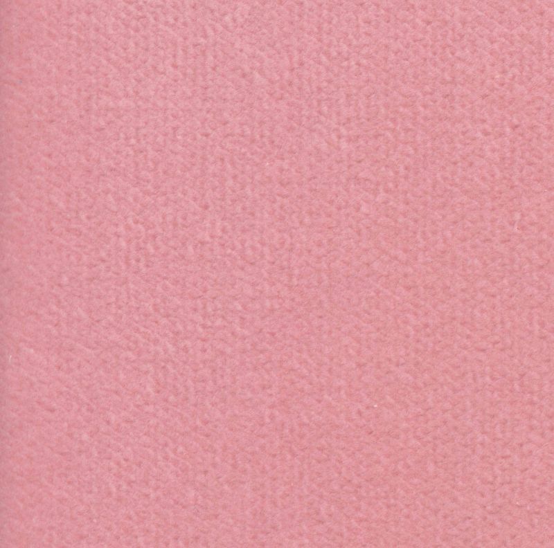 Wall to Wall 12 x 14 Carpeting in Baby Pink