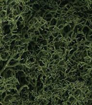 Lichen in Medium Green by Woodland Scenics
