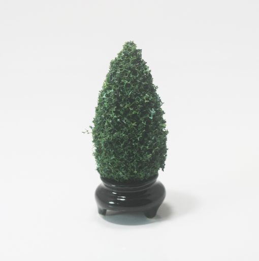 Topiary on a Black Ceramic Chinese Stand