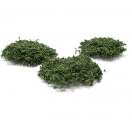 Wild Bushes in Medium Green by Creative Accents 20 Pieces