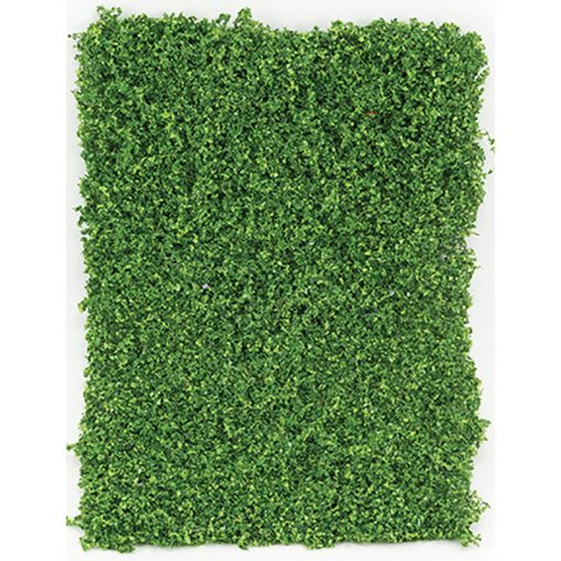 Medium Green Leaf Micro Phlox 5 x 7 by Creative Accents