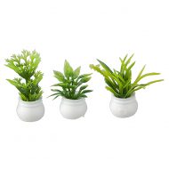 Set of 3 Green Plants in White Pots