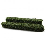 Set of 2 Small Green Hedges by Creative Accents