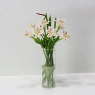 Lilies in a Clear Vase VMMF1854