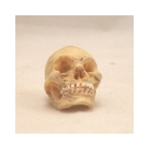 Halloween Human Skull by Falcon Miniatures