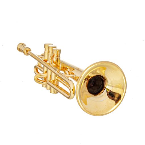 Brass Trumpet with Case
