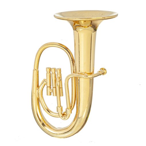 Brass Tuba with Case