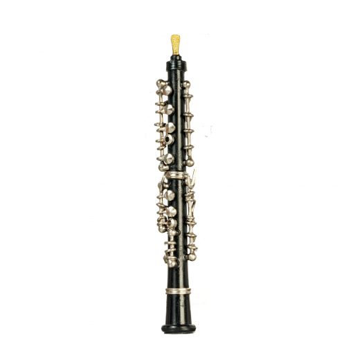 Black Oboe with Case