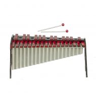 Xylophone with Case