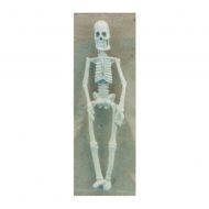 Small Halloween Skeleton by Carradus Miniatures CAR8P17