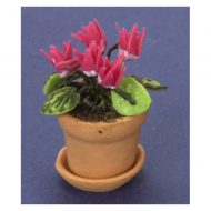 Pink Cyclamen in Pot by Falcon Miniatures N8183P