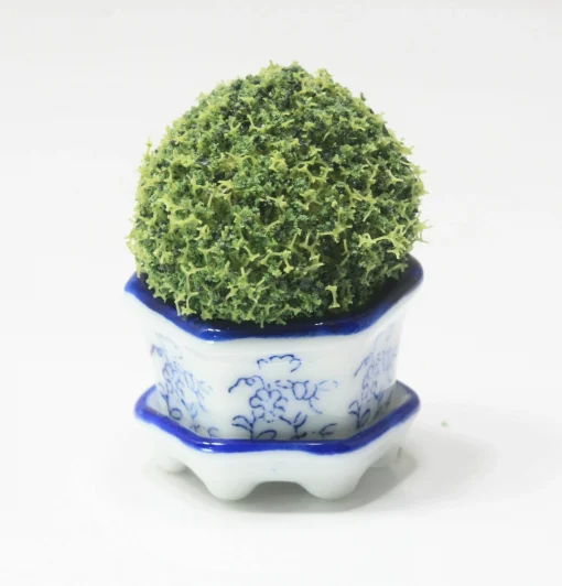 Artisan Round Topiary in a Blue and White Porcelain Pot with Saucer