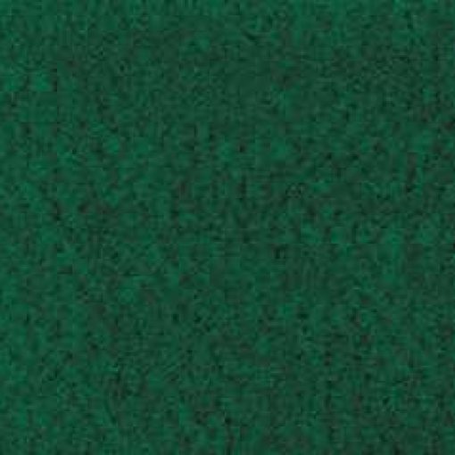 Forest Green Wall to Wall Carpet 14 x 20